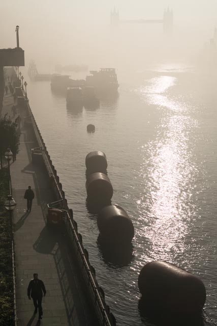 Foggy Morning